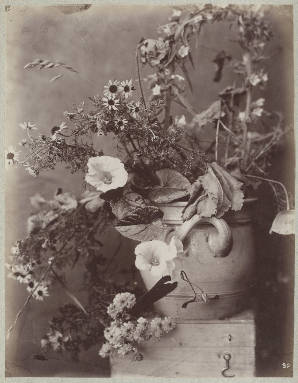 Blomsterstudie med Kölnerkrukke på boks av Charles Aubry (manner of)