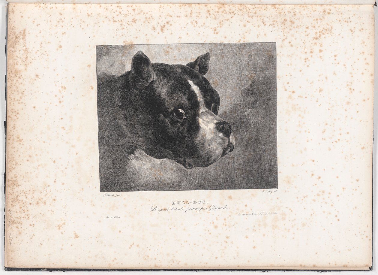 Bull-Dog av Charles Aubry
