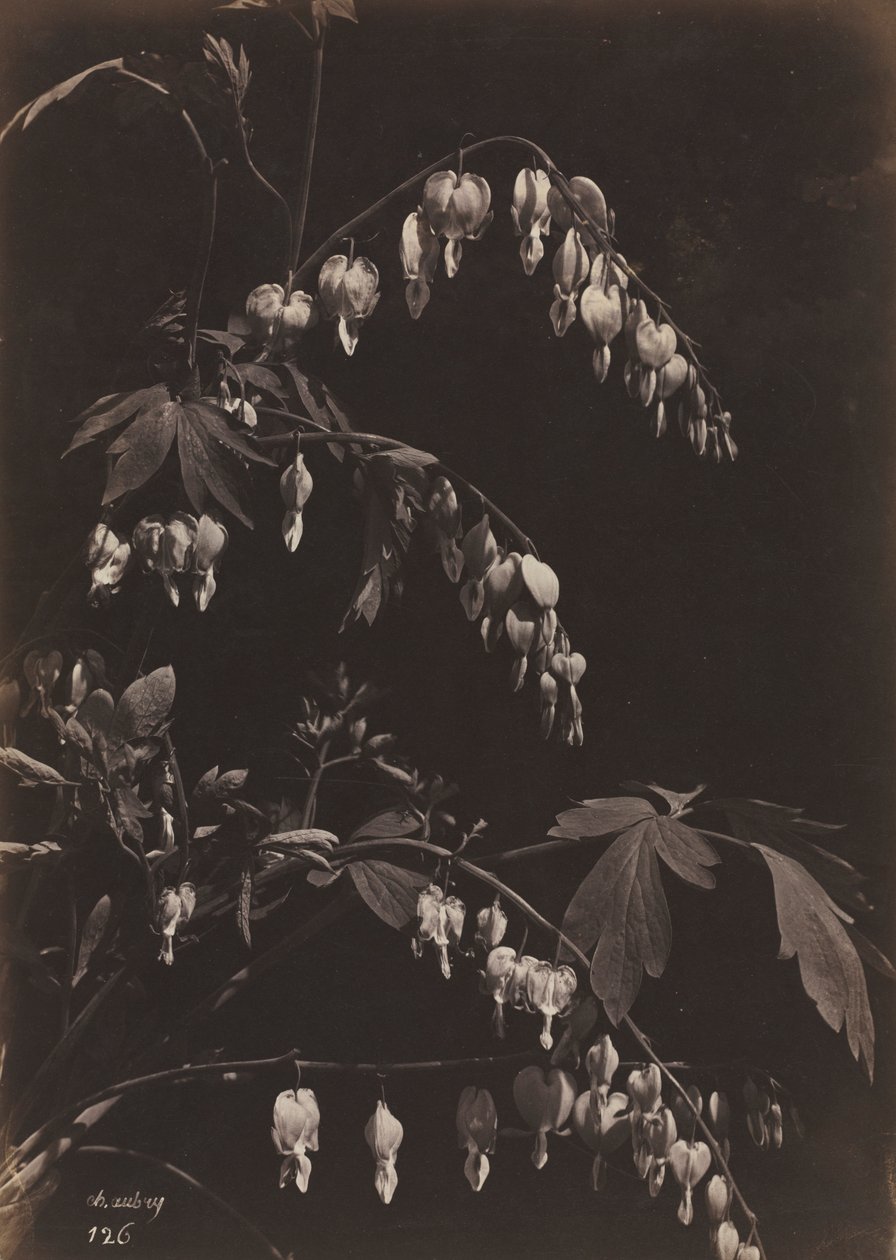 Blomster stilleben blødende hjerter, ca. 1865. av Charles Aubry