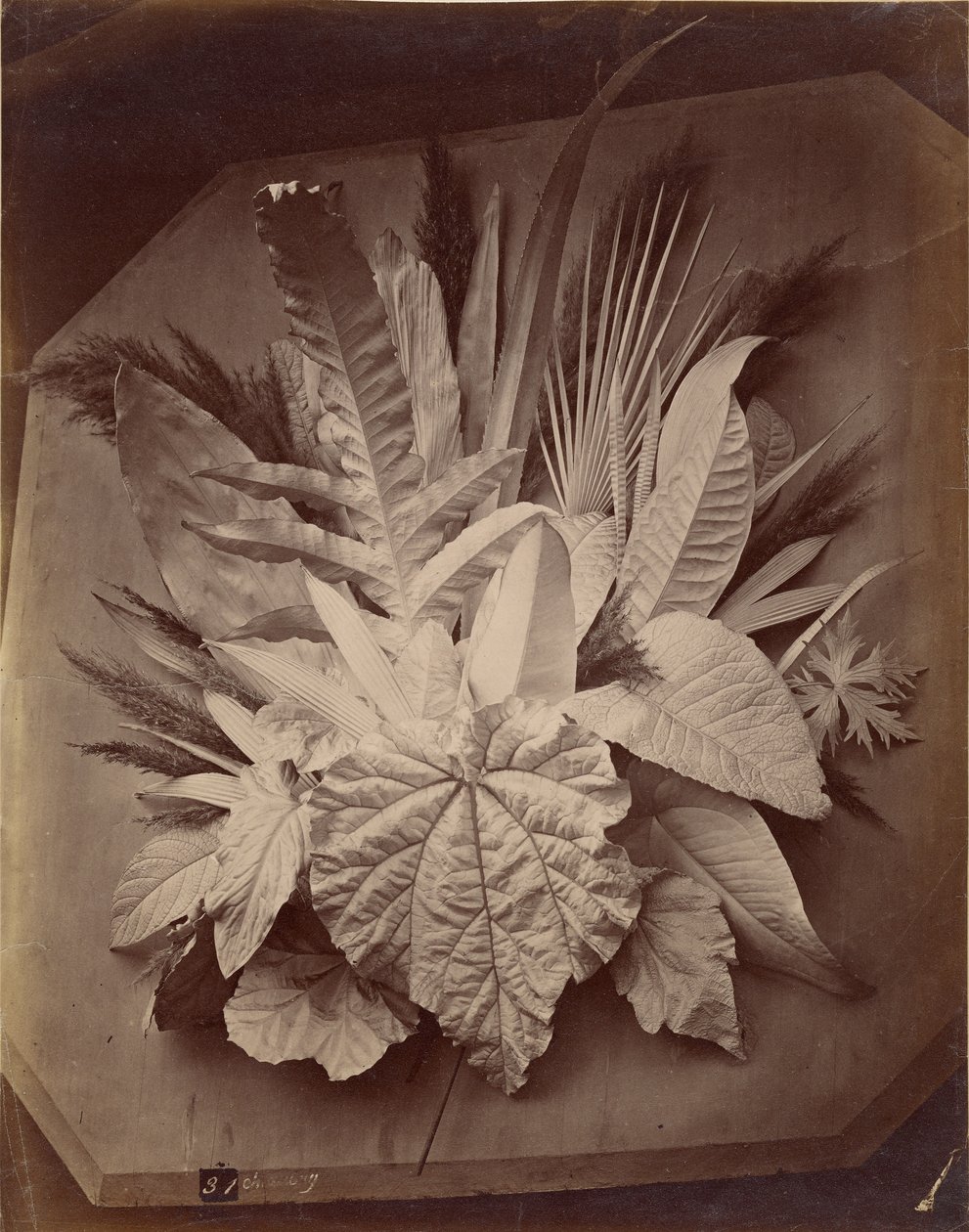  av Charles Aubry
