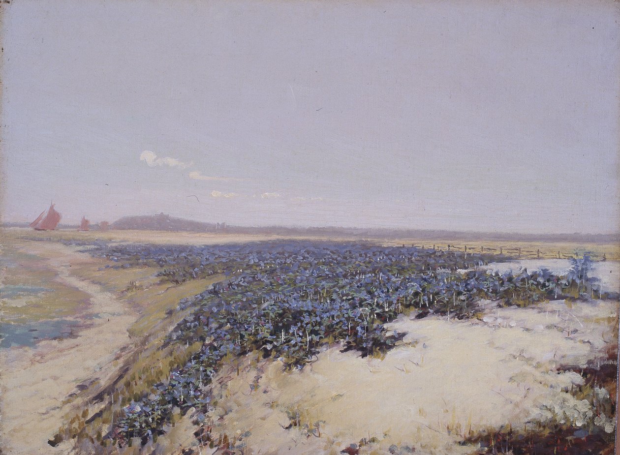 Blomsterdekkede sanddyner (olje på lerret) av Charles Augustus Lasar