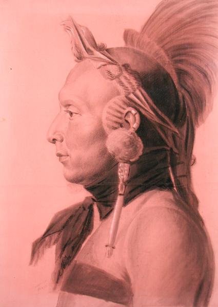 Portrett av en indianer, muligens Shahaka, Mandan Chief (blyant og kull på farget papir) av Charles Balthazar Julien Févret de Saint Mémin