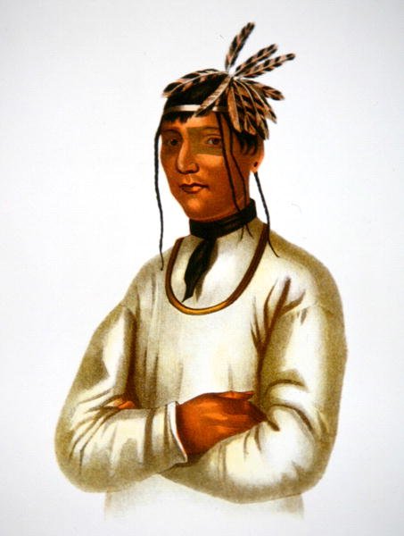 Caatousee av Chippewa Tribe (farge litho) av Charles Bird King