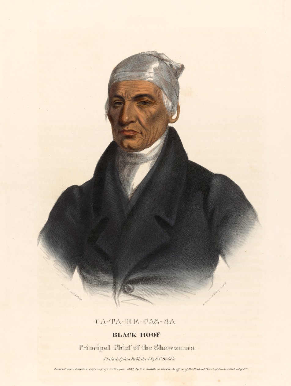 Catahecassa av Charles Bird King
