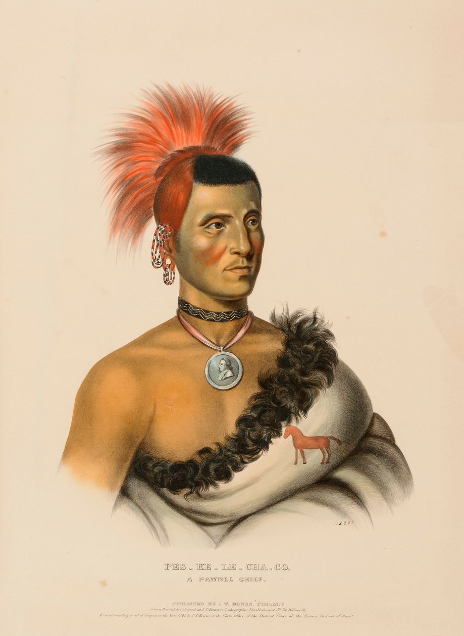  av Charles Bird King