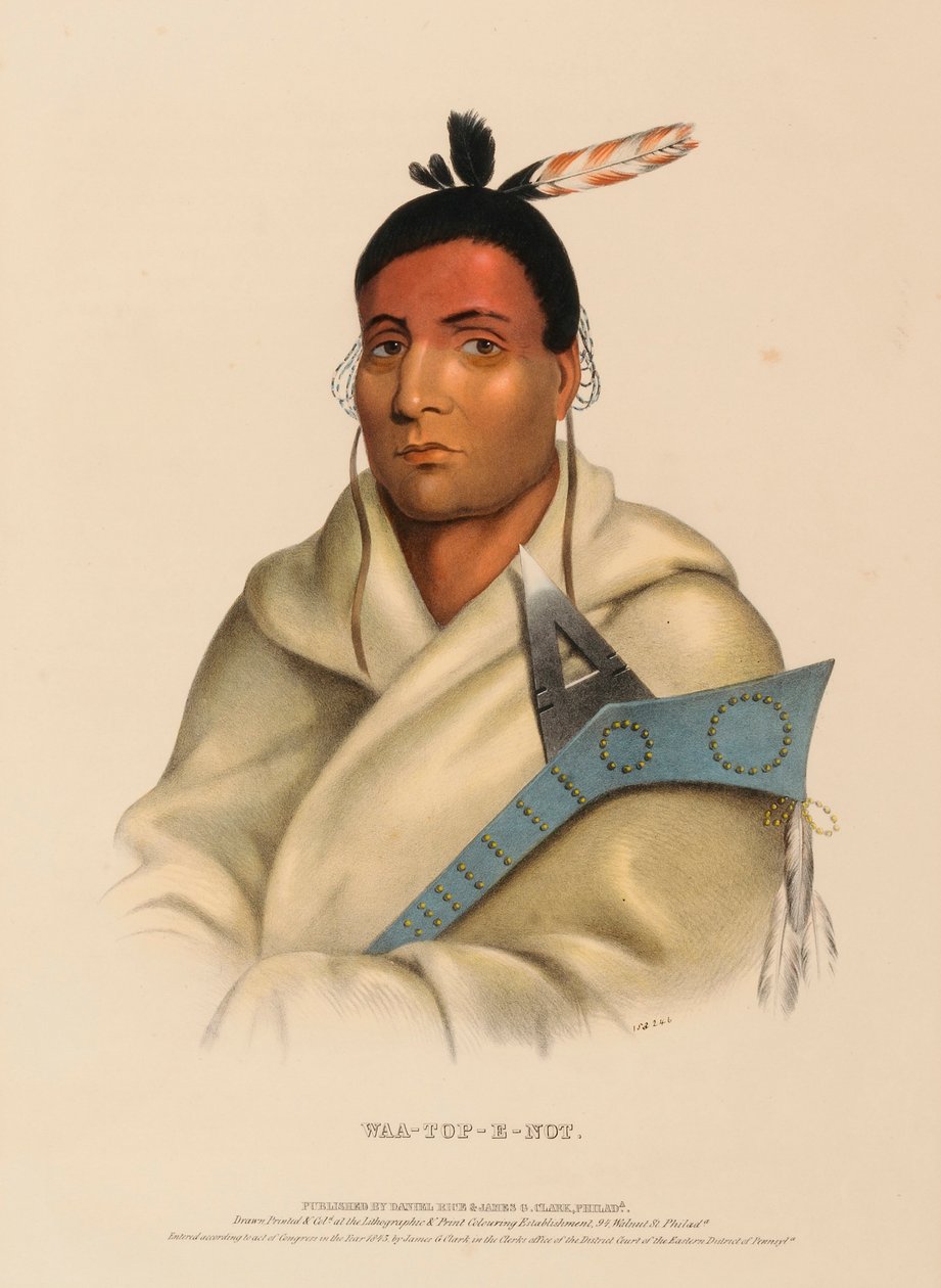  av Charles Bird King