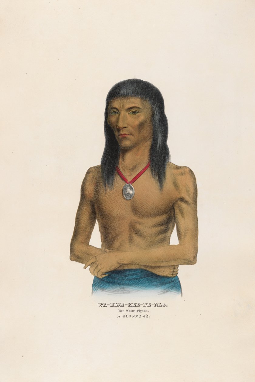 Wa-bish-kee-pe-nas - Den hvite duen av Charles Bird King