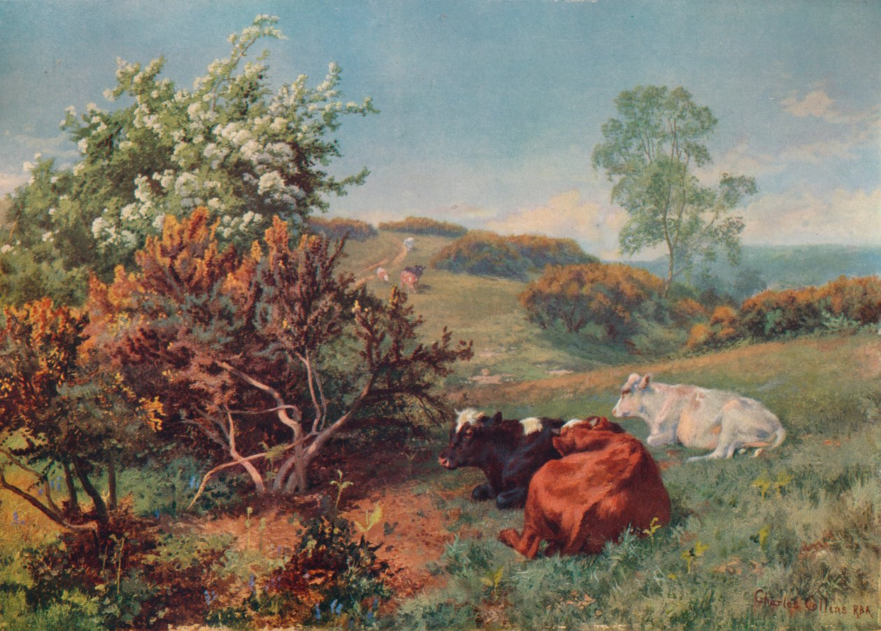 Landskap med storfe i Nower, Dorking, c1899 av Charles Collins