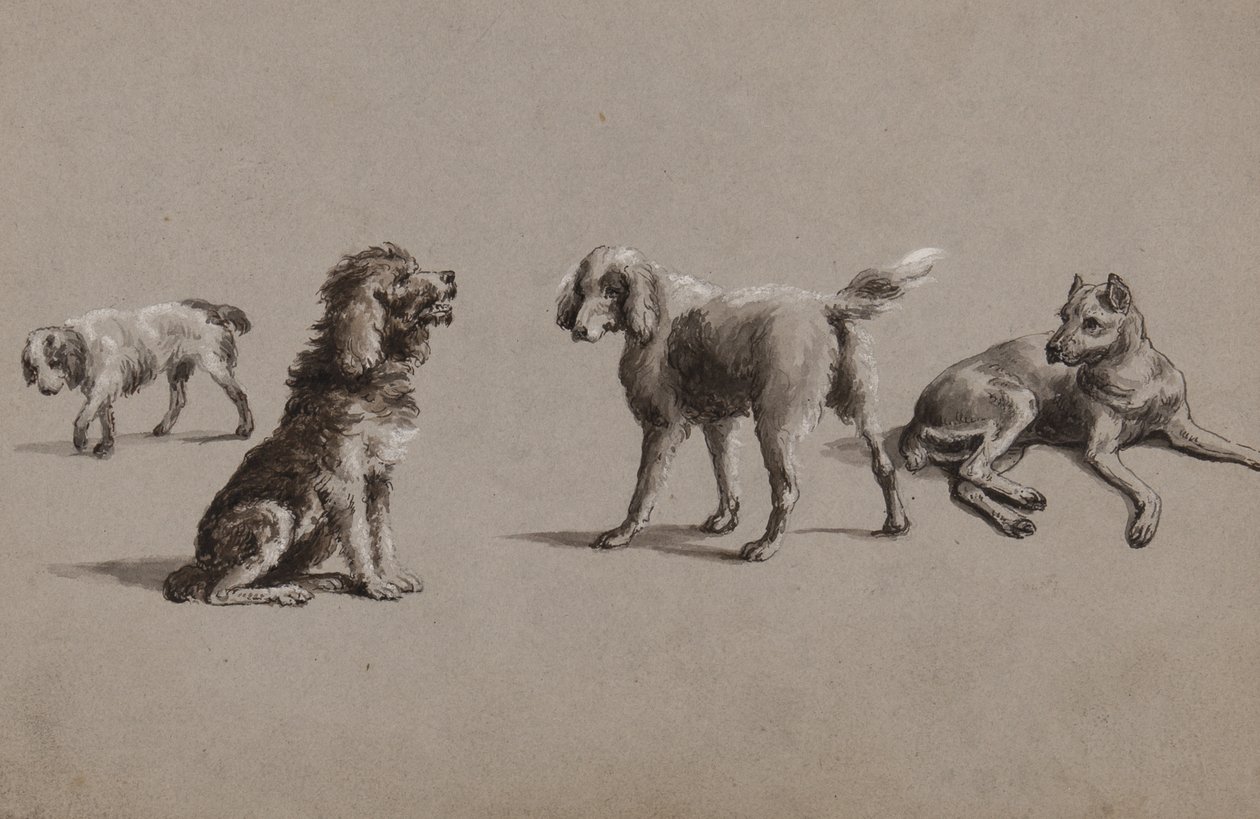 Studier av hunder (penn, pensel, blekk og gouache på papir) av Charles Cooper Henderson