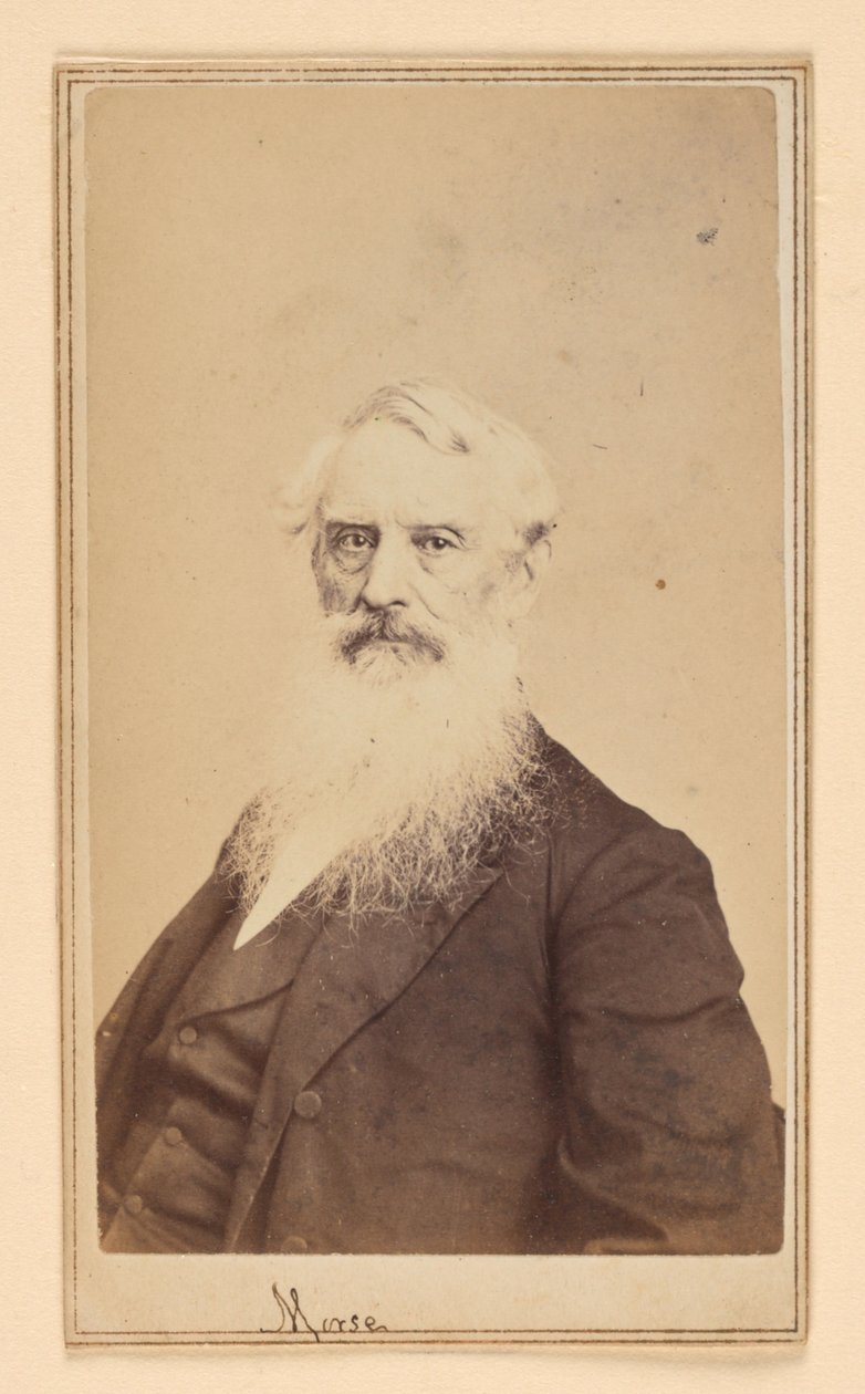 Samuel F. B. Morse av Charles DeForest Fredricks