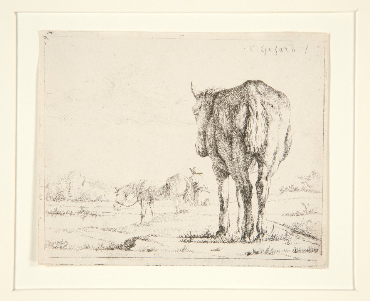 To hester på beite av Charles Echard