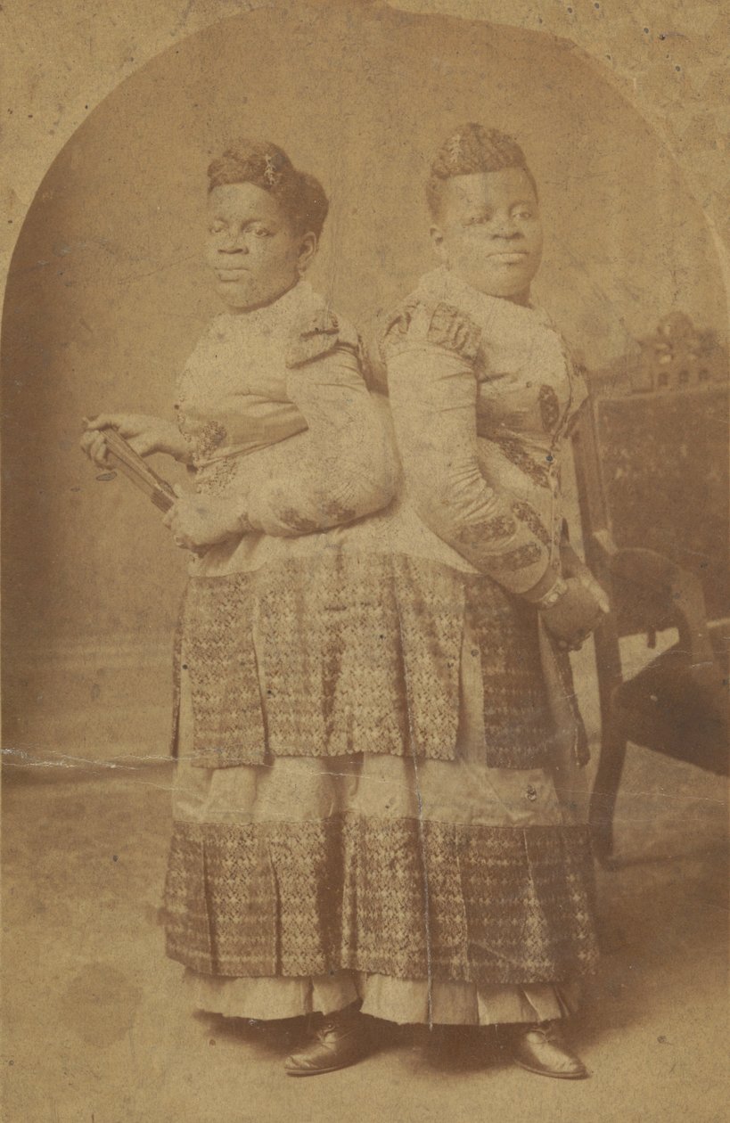 Albumtrykk av Millie og Christine McCoy, 1880-1890-tallet. av Charles Eisenmann