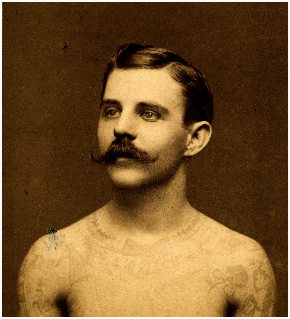 Frank Howard den tatoverte mannen, ca. 1900 (skapkort) av Charles Eisenmann