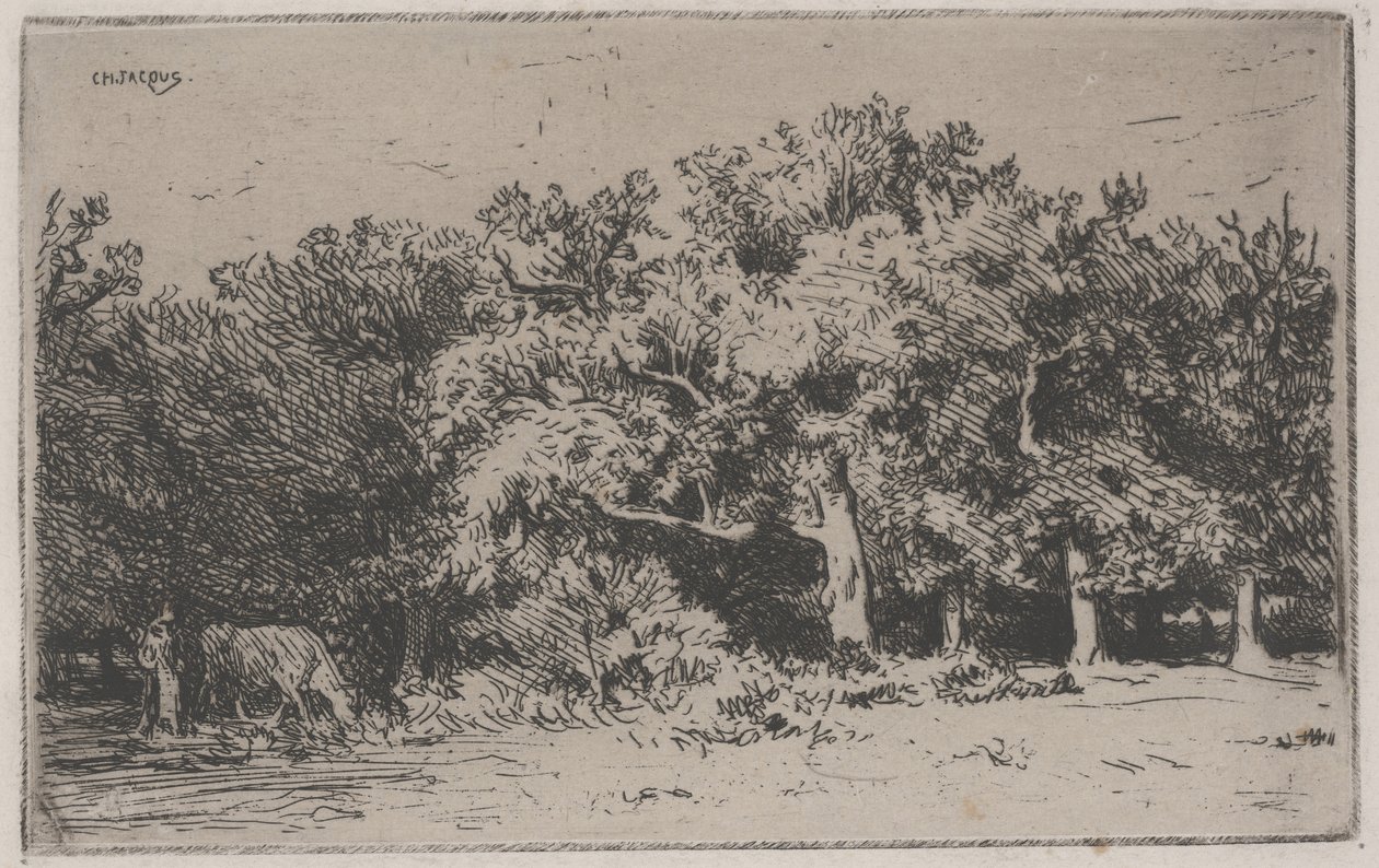 Et hjørne av Fontainebleau-skogen (radering) av Charles Emile Jacque