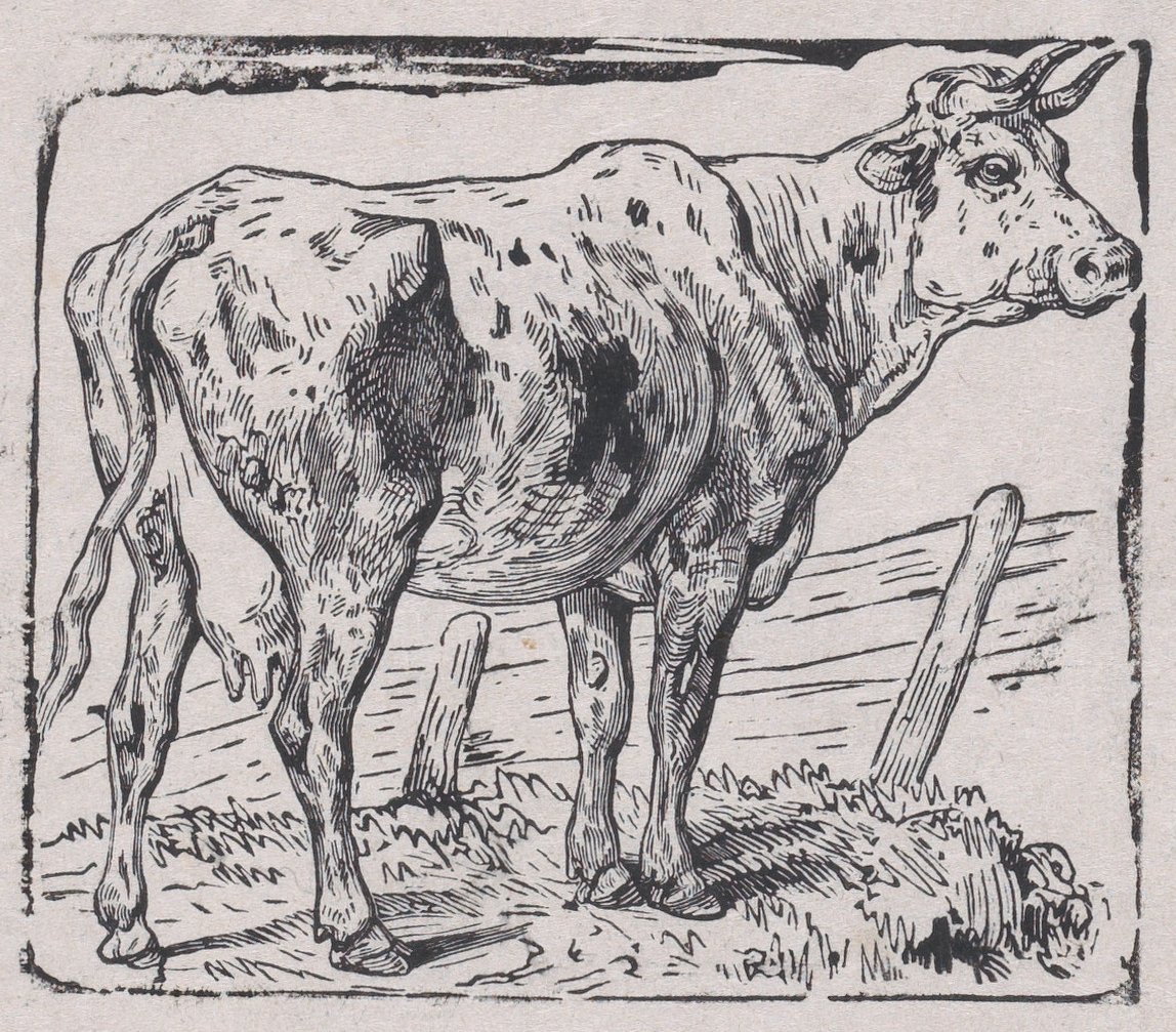 En ku, ca. 1853. av Charles Emile Jacque