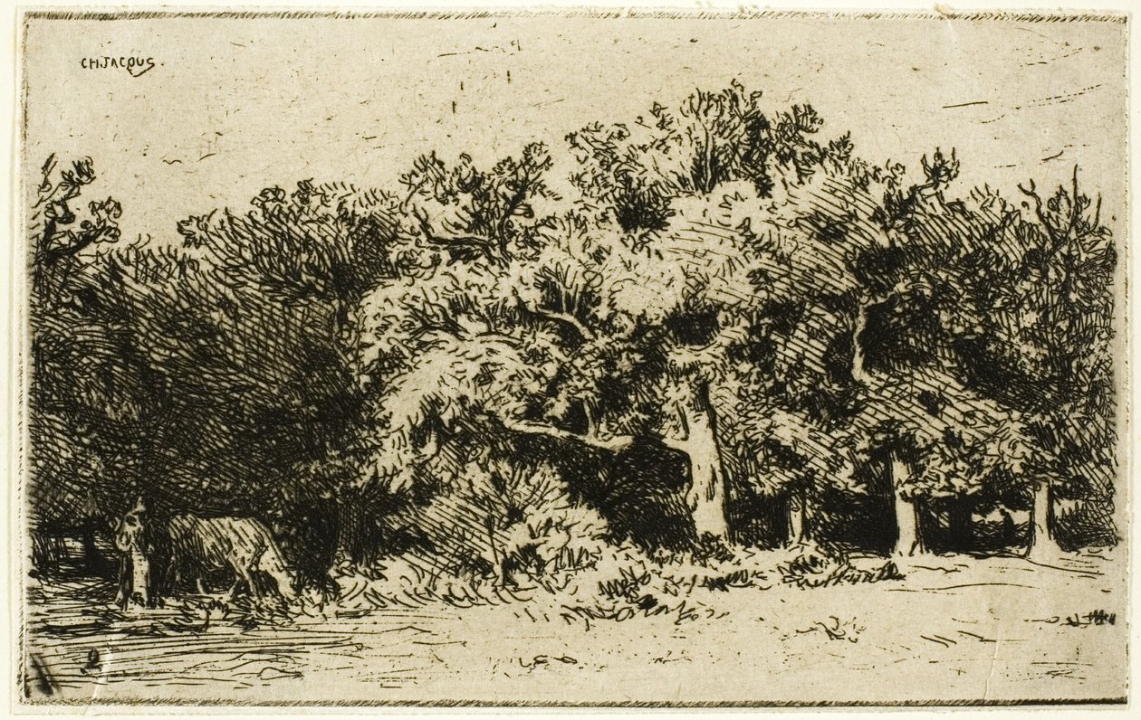 En del av Fontainebleau-skogen av Charles Emile Jacque
