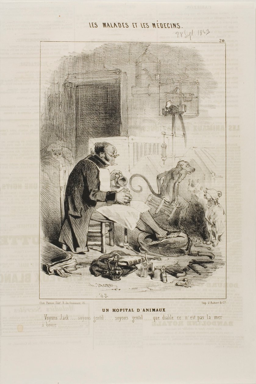 Et dyresykehus (plate 20) av Charles Emile Jacque