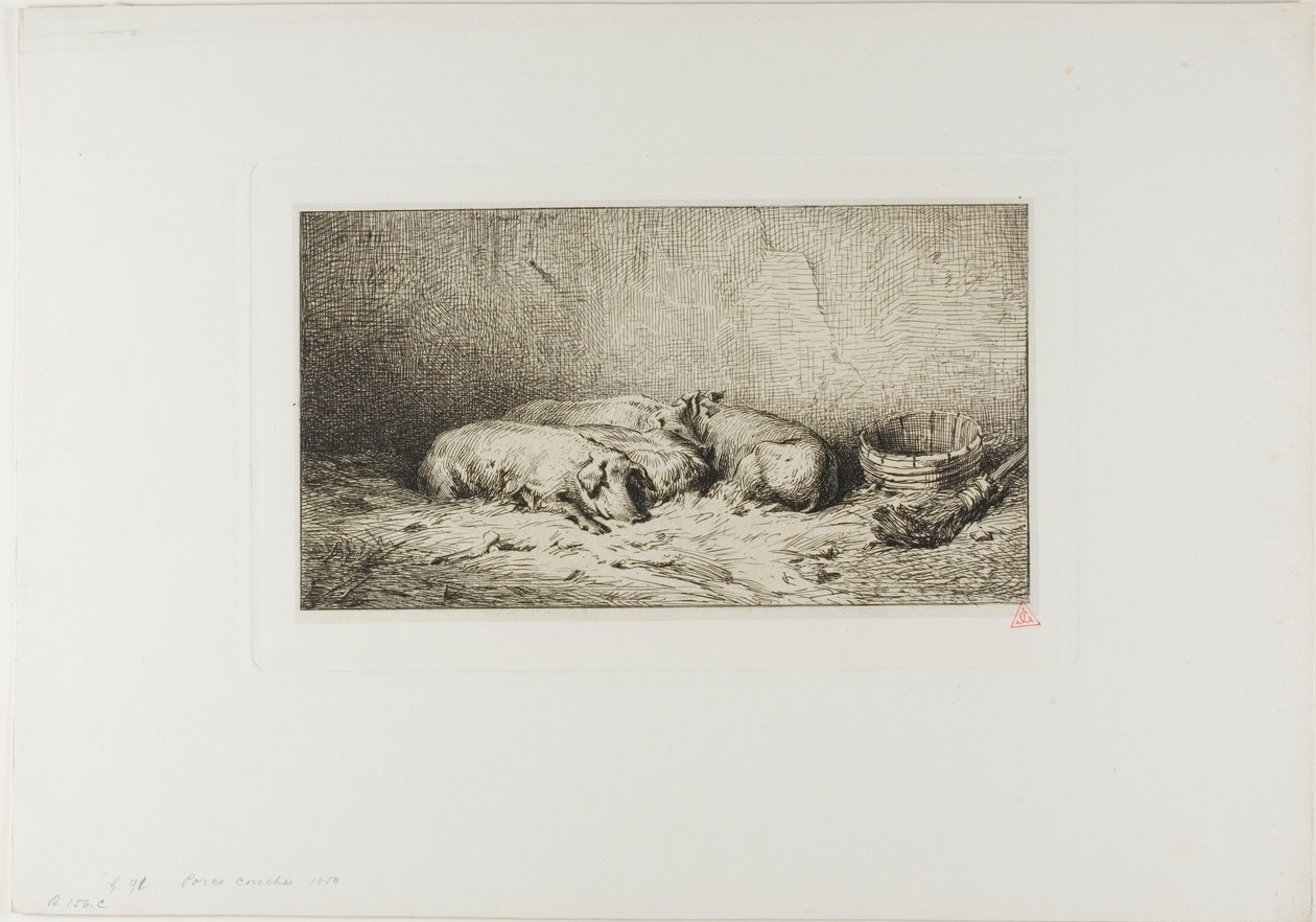 Fire sovende griser av Charles Emile Jacque