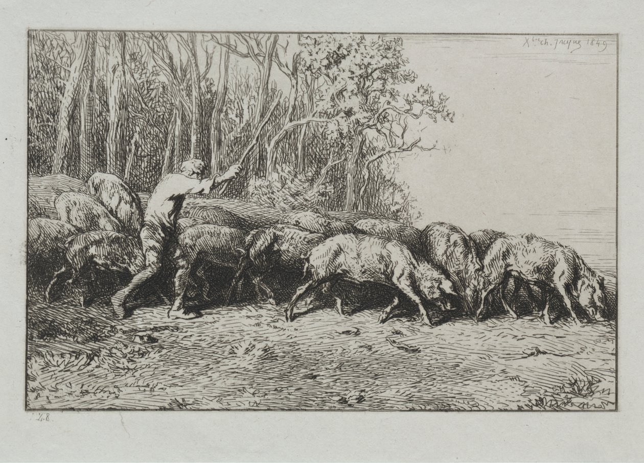 flokk med griser som forlater en skog av Charles Emile Jacque