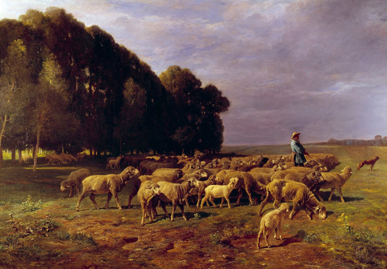 Saueflokk i et landskap eller "" Hyrde som driver en flokk med sauer på sletten"" Maleri av Charles Jacque (1813-1894) 1800-tallet Søn. 1,76x2,8 m av Charles Emile Jacque