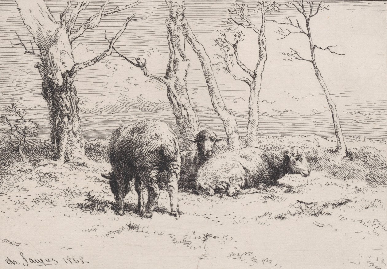 Sau, 1868. av Charles Emile Jacque