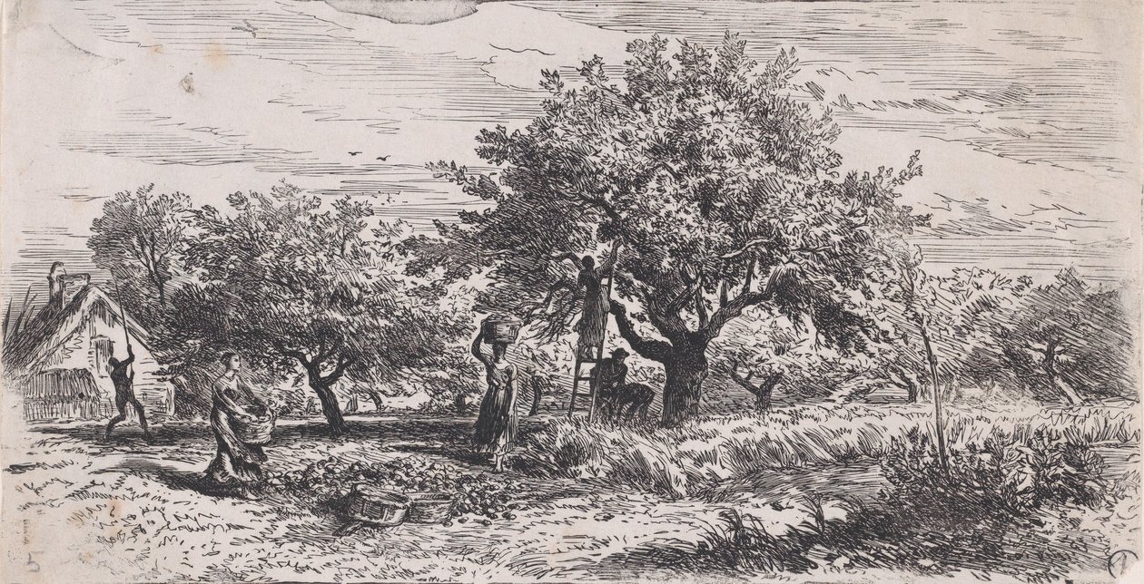 Plukke frukt fra tre utenfor hytte, ca. 1852. av Charles Emile Jacque