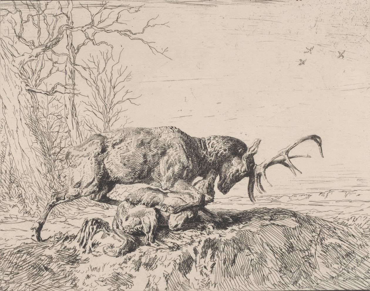 Stag Fighting a Wolf, etter Antoine Louis Barye, 1846. av Charles Emile Jacque