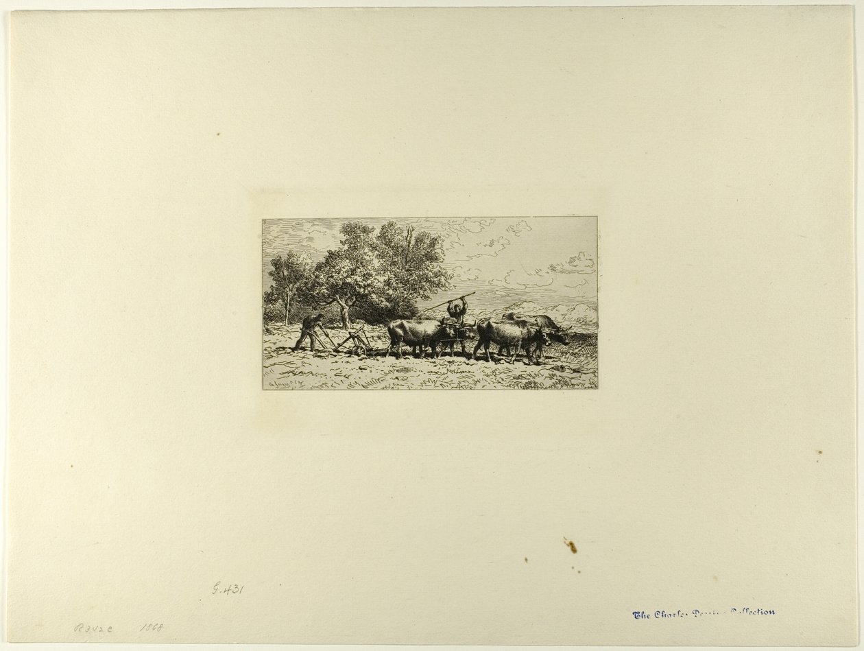 Team av okser av Charles Emile Jacque
