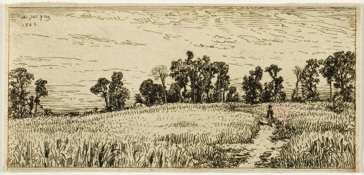 Hveteåker av Charles Emile Jacque