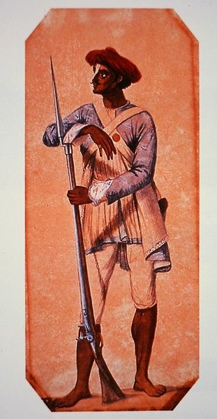 Soldat fra Tipu Sultan, Sultan fra Mysore, bevæpnet med en flintlåsmuskett (farge litho) av Charles Emilius (after) Gold