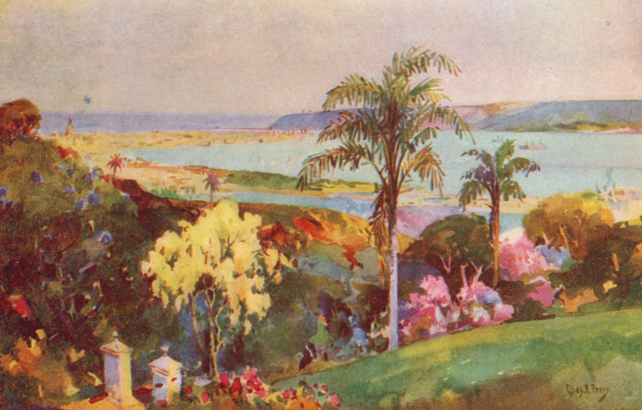 Havnen i Natal, Durban (fargelitografi) av Charles Ernest Peers