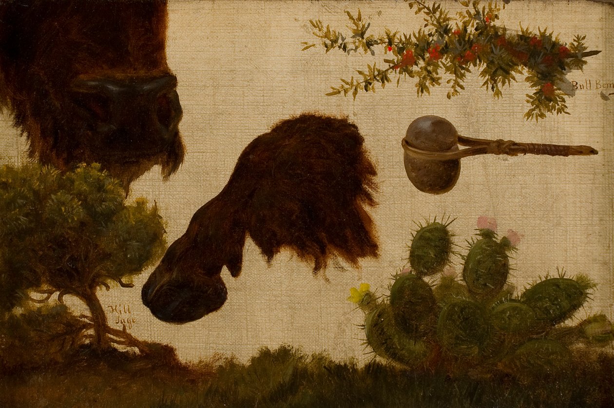 Studie for «The Wounded Buffalo»: salvie, bøffelhode og hov, oksebær, steinøks og kaktus … av Charles Ferdinand Wimar