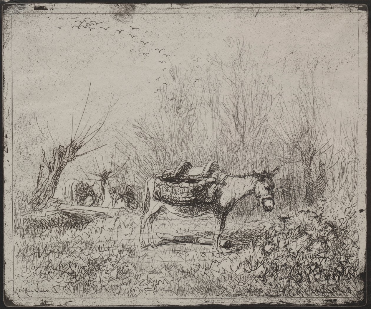 A Donkey in the Field, originalt inntrykk 1862, trykt i 1921. av Charles Francois Daubigny