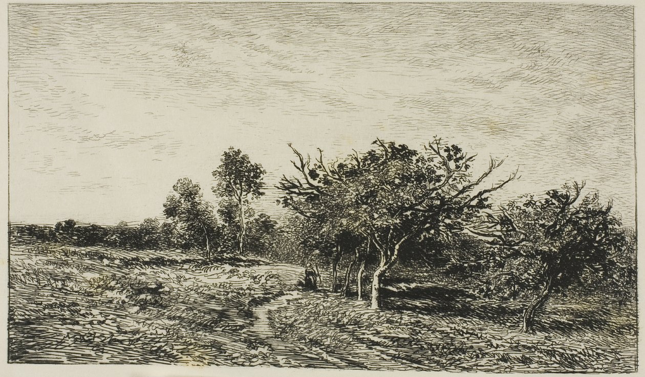 Epletrær i Auvers av Charles Francois Daubigny