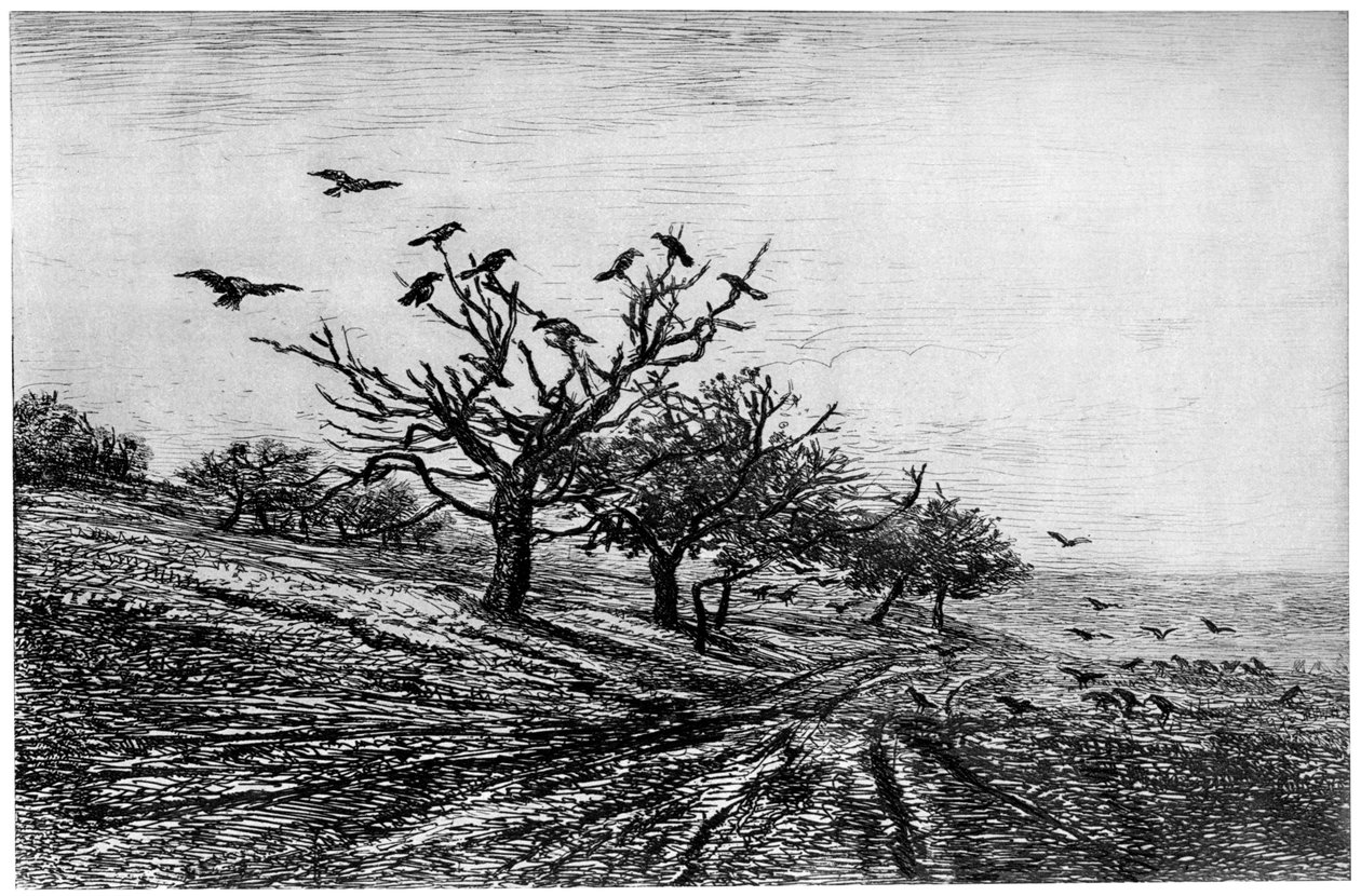 Raven Tree, 1840-1875, 1924 av Charles Francois Daubigny