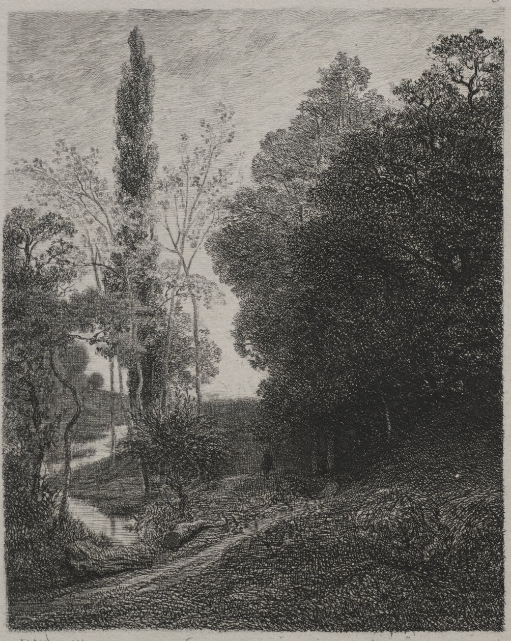 Bredden av elven Cousin av Charles Francois Daubigny