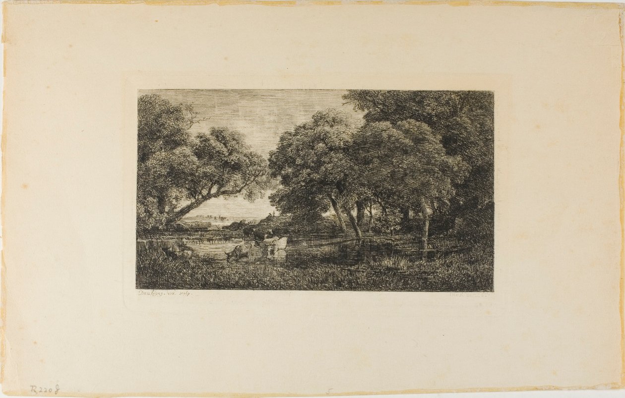 Storfe ved et basseng av Charles Francois Daubigny