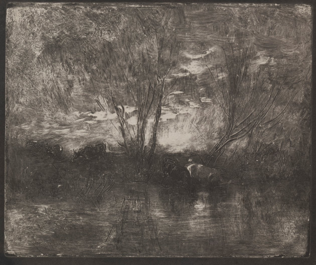 Cows at a Watering Place, originalt inntrykk 1862, trykt i 1921. av Charles Francois Daubigny