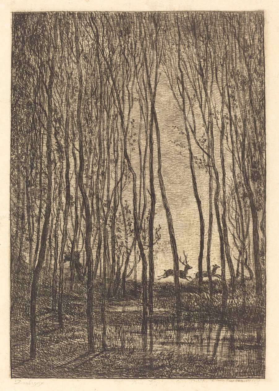 Hjort i skogen av Charles Francois Daubigny
