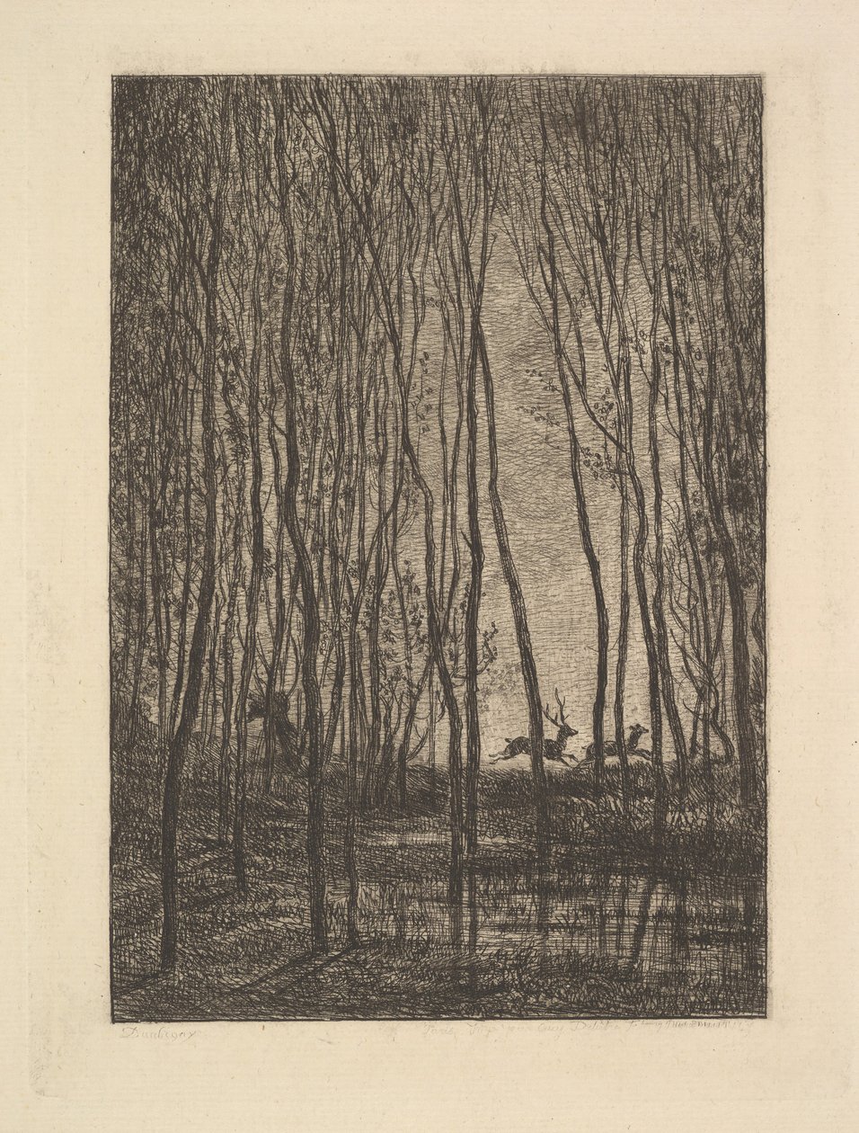 Hjort i skogen, 1850. av Charles Francois Daubigny