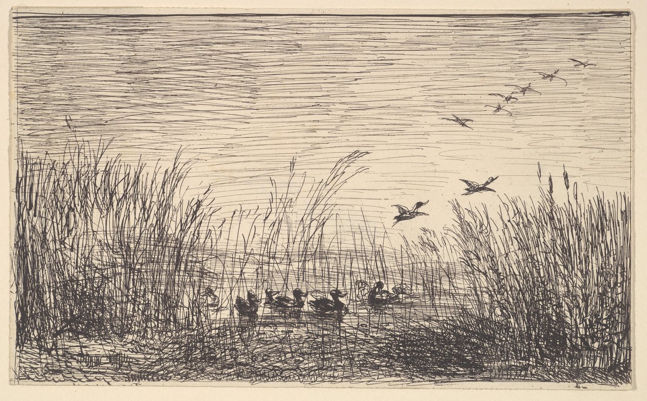 Ducks in the Marshes, [1862], gjengitt 1921. av Charles Francois Daubigny