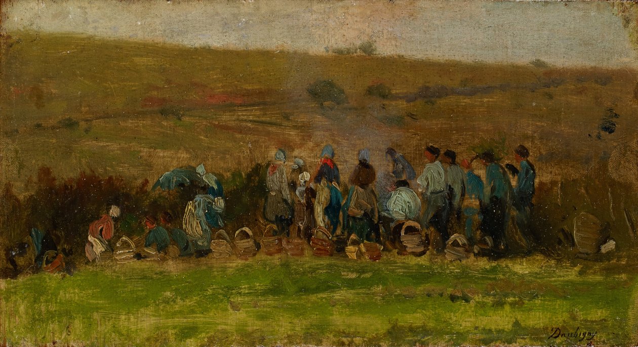 Bønder som høster poteter (olje på eik) av Charles Francois Daubigny