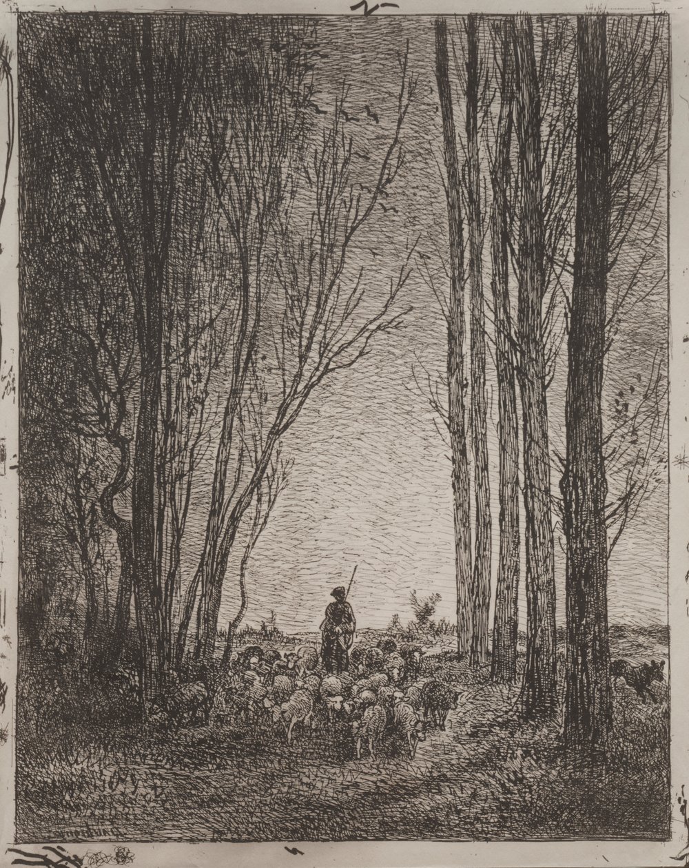Samling i flokken av Charles Francois Daubigny