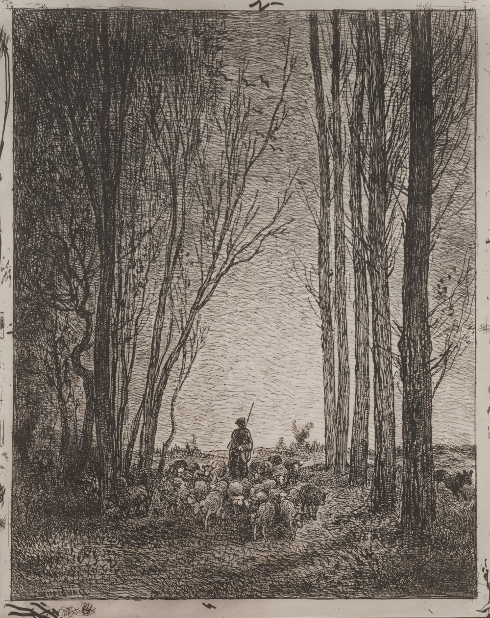 Gathering in the Flock, originalinntrykk 1862, trykt i 1921. av Charles Francois Daubigny