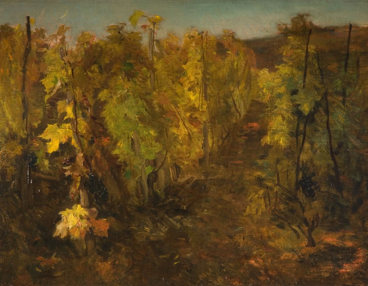 The Vine, 1860-1863 av Charles Francois Daubigny