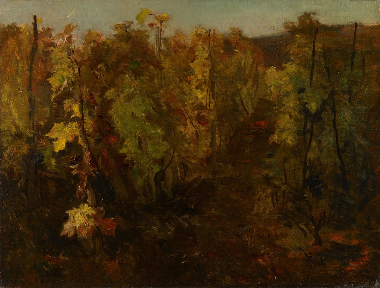 The Vine, 1860-1863. av Charles Francois Daubigny