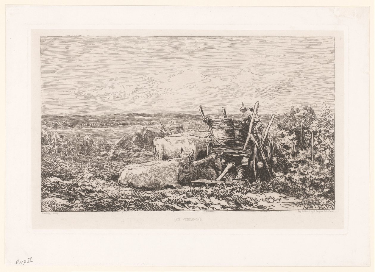 Landskap med hvilende storfe mellom vinstokker Les vendanges. (tittel på objekt) av Charles Francois Daubigny