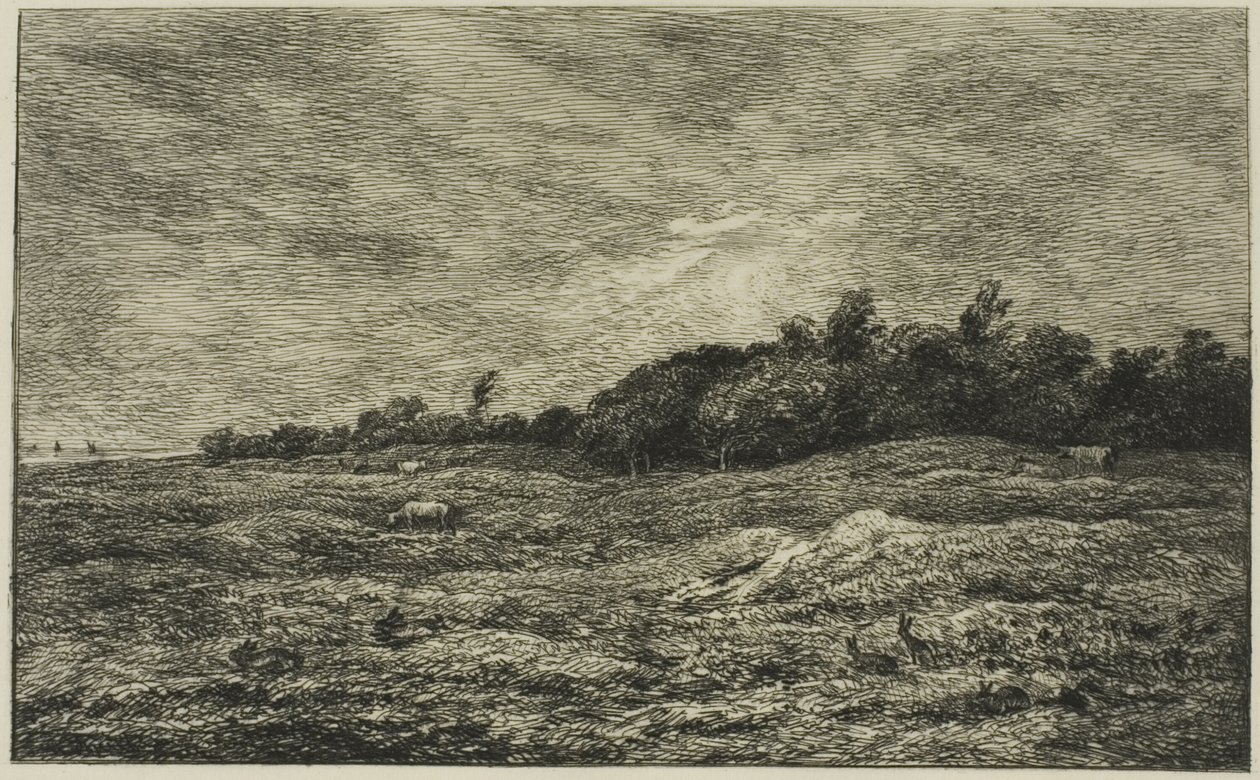 Pre des Graves i Villerville (Calvados) av Charles Francois Daubigny