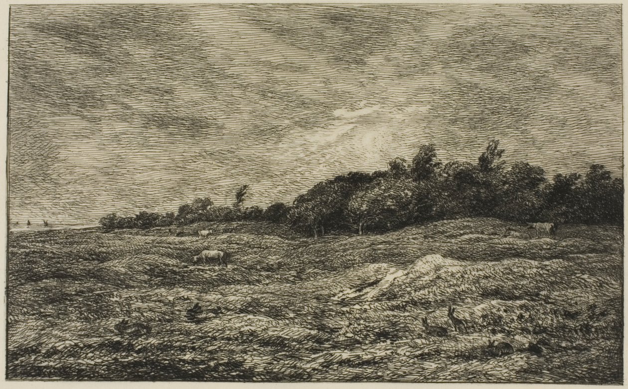 Pre des Graves i Villerville (Calvados) av Charles Francois Daubigny