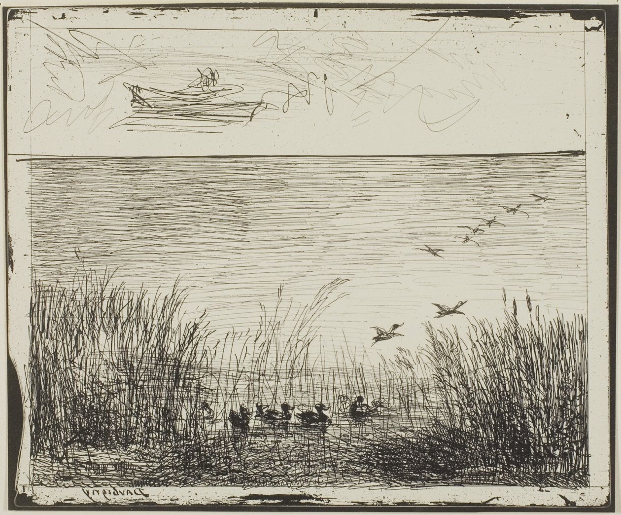 Myr med ender av Charles Francois Daubigny